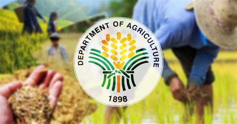 department of agriculture region 1 directory|Dept of Agriculture Fisheries & Food Forestry Premiums.